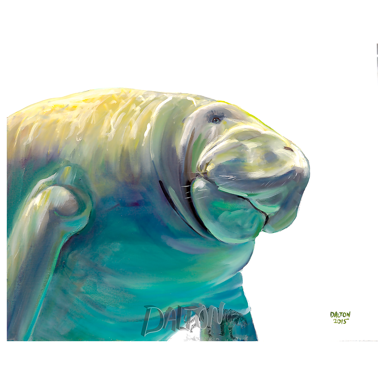 manatee drawing face