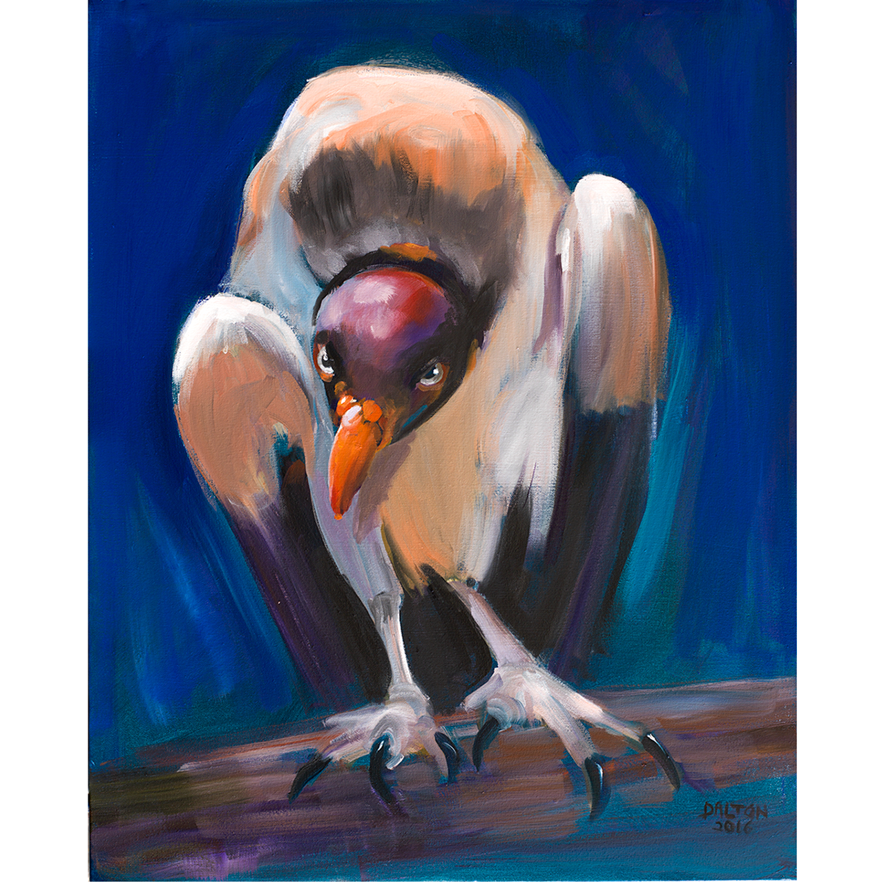 ビリヤードキューVULTURE The Vulture, Bird of Prey
