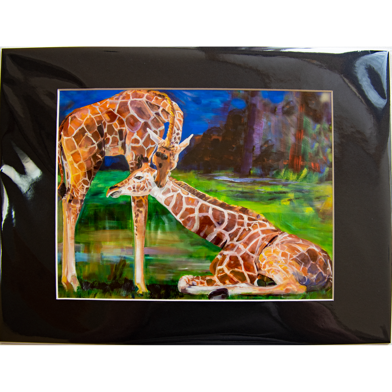 Giraffes - Matted: print framed with black matt, clear glassine cover -11" x 14"  - $23.00