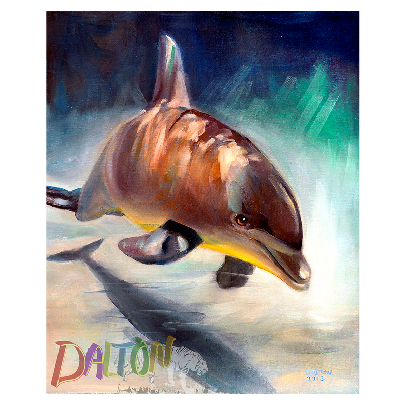 Dolphin - Print on Canvas: with white canvas border - 17" x 14.5" - $79.00