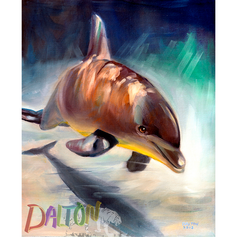 Dolphin - Original: Oil Painting - 20" x 24" - $350.00