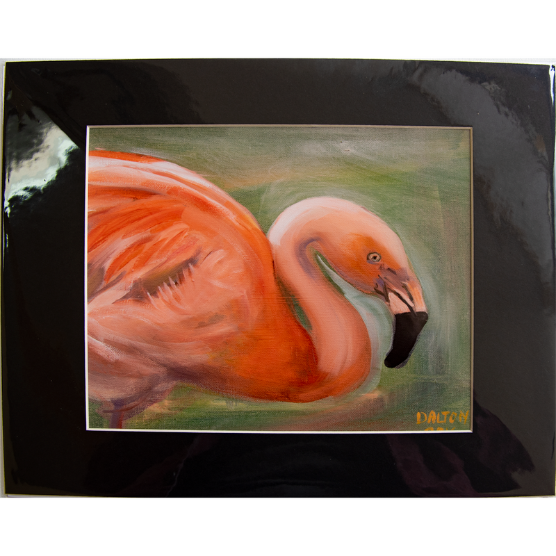 Flamingo - Matted: print framed with black matt, clear glassine cover -11" x 14"  - $23.00