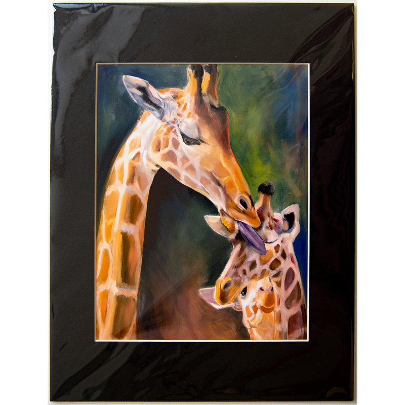 Giraffes - Matted: print framed with black matt, clear glassine cover -11" x 14"  - $23.00