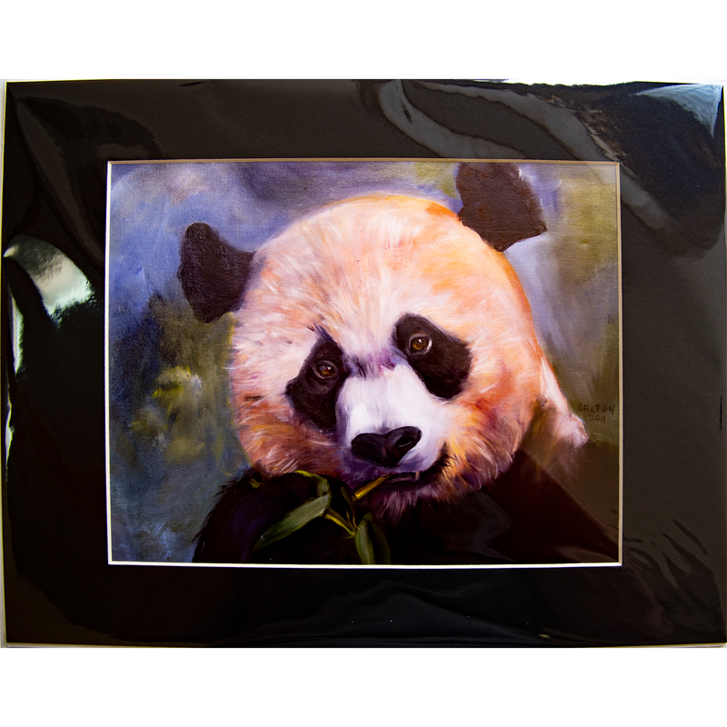 Panda - Matted: print framed with black matt, clear glassine cover -11" x 14"  - $23.00