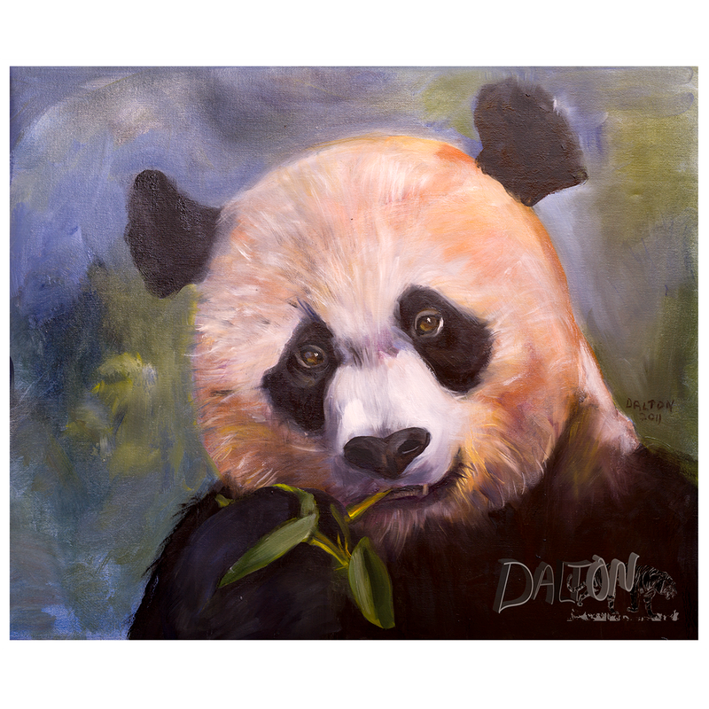 Panda - Canvas Print: with white canvas border - 17" x  15" - $59.00