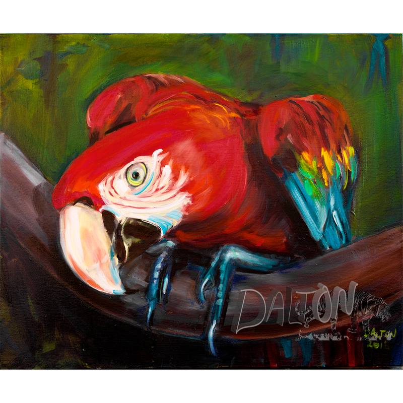 Parrot - Original: Oil Painting 20" x 24" - $300.00