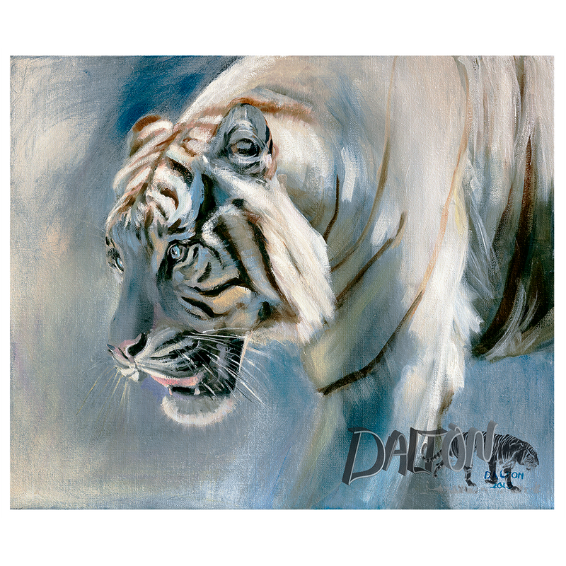 Tiger  - Canvas Print: with a white canvas border - 17" x 15" - $69.00