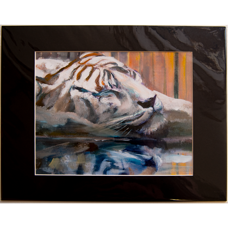 Tiger - Matted: print framed with black matt, clear glassine cover - 11" x 14" - $23.00