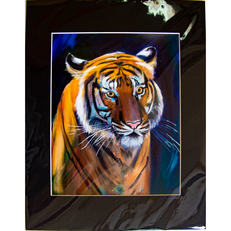 Tiger - Matted: print framed with black matt, clear glassine cover - 11" x 14" - $23.00