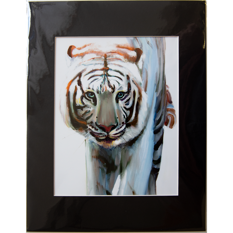 Tiger - Matted: print framed with black matt, clear glassine cover - 11" x 14" - $23.00