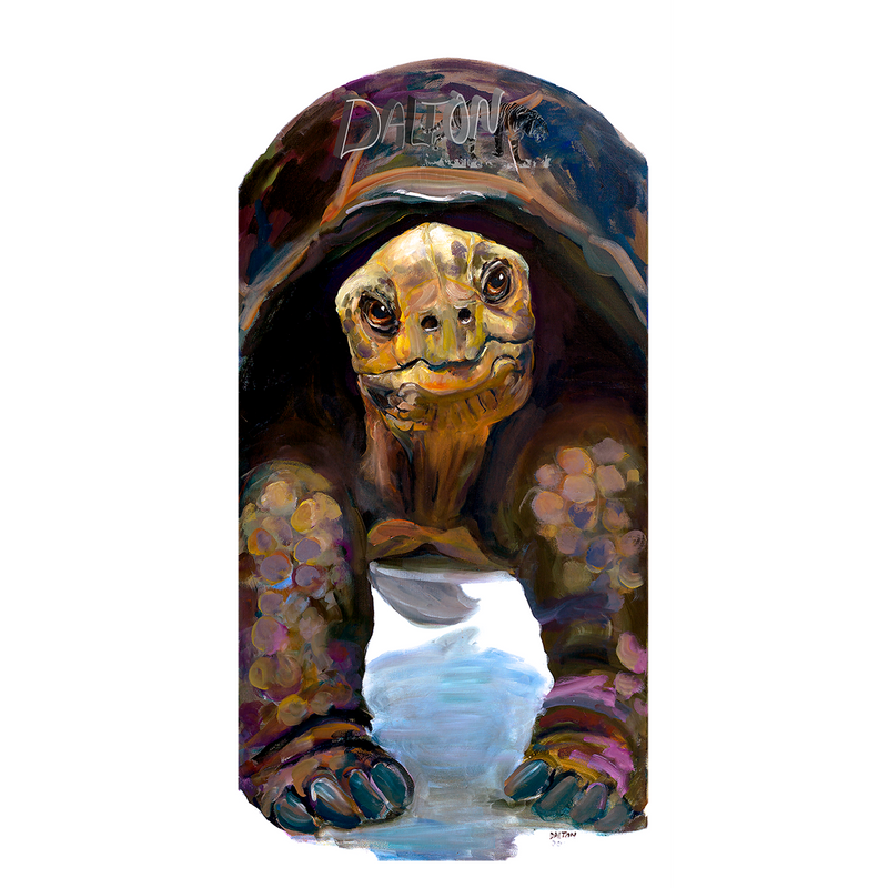 Tortoise  - Canvas Print: with a white canvas border - 24" x 15" - $79.00