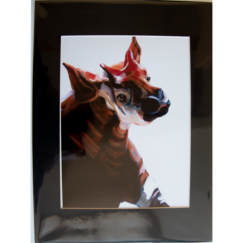 Ocapi - Matted: print framed with black matt, clear glassine cover -11" x 14"  - $23.00
