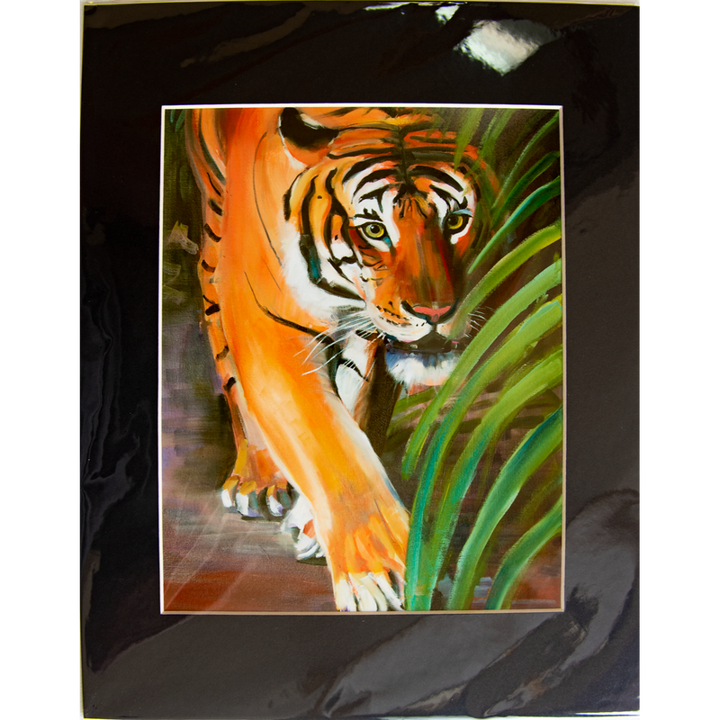 Tiger - Matted: print framed with black matt, clear glassine cover -11" x 14"  - $23.00