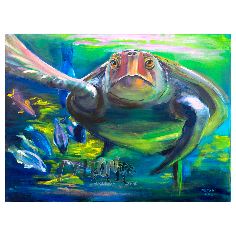 Sea Turtle - Canvas Print: with white canvas border  24" x 17" - $59.00