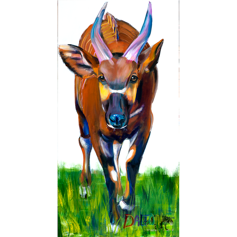 Bongo - Original: Oil Painting - 24" x 48" - $600.00