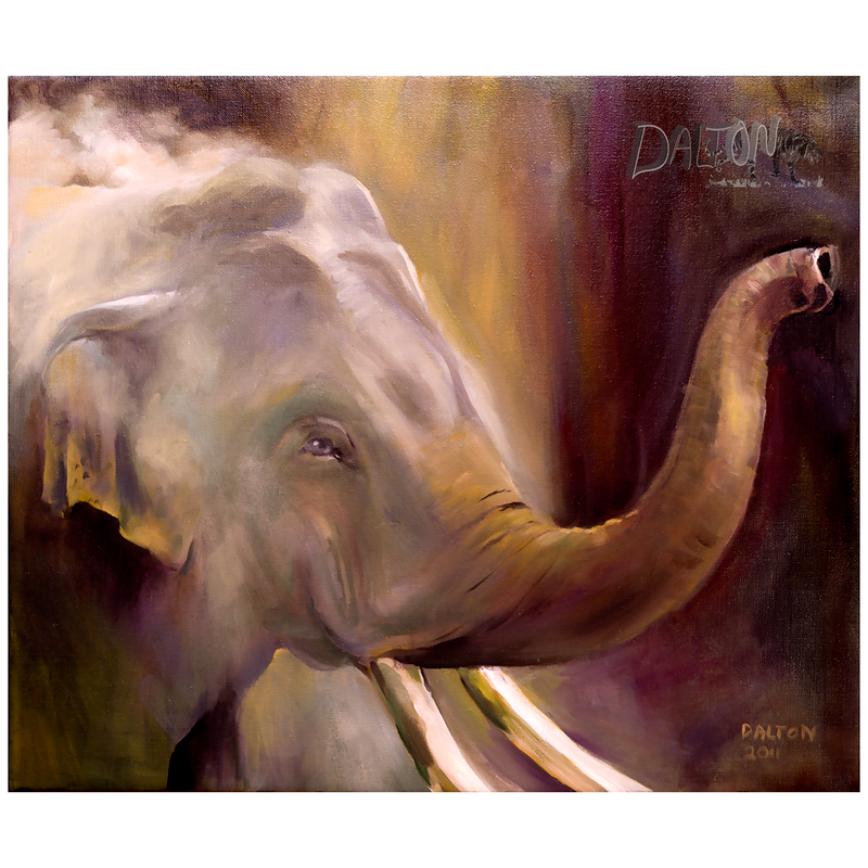 Elephant- Canvas Print: with white canvas border - 17" x 14" - $69.00