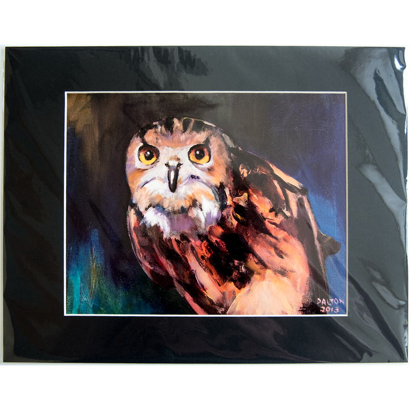 Owl matted