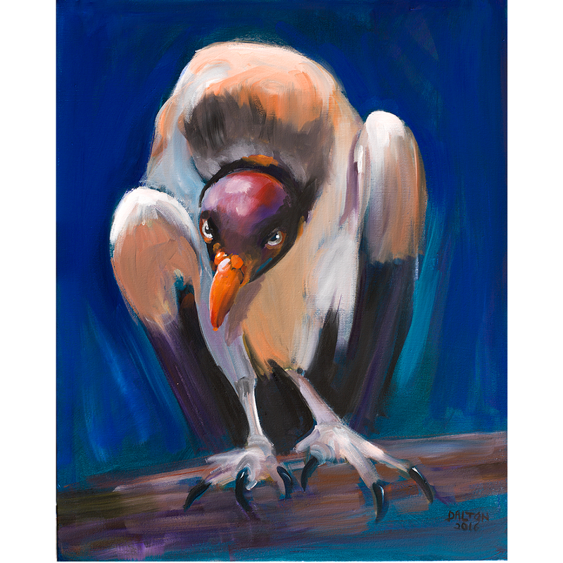 King Vulture - Original: Oil Painting 24" x 18" - $300.00