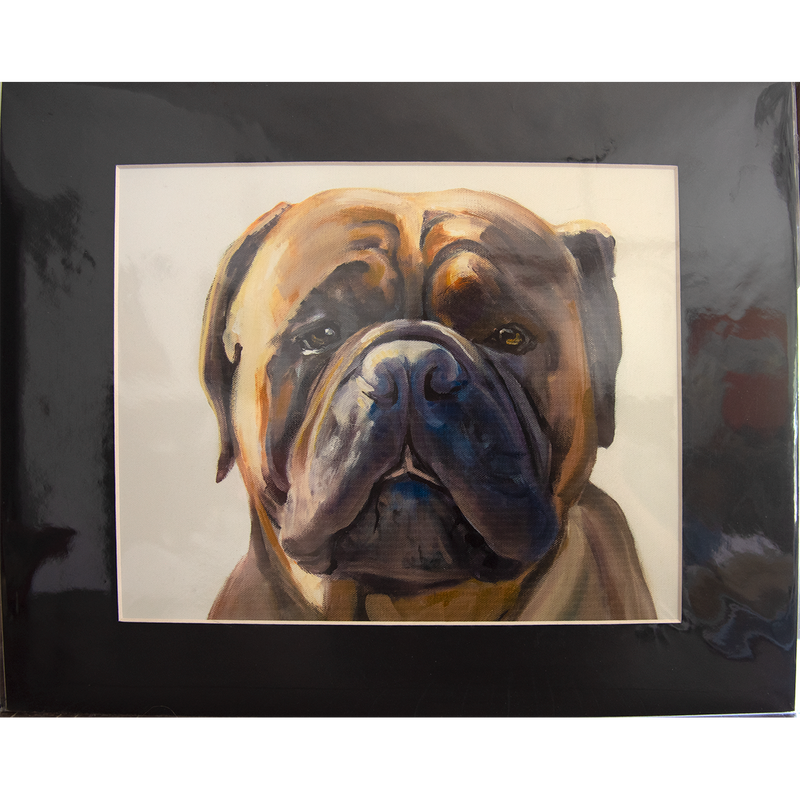 Dog Portrait: Bullmastiff