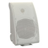 6.5 inch ABS Wall-Mounted Speaker (B12)