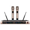 UHF Professional Wireless Microphone 2 Channel (D02)