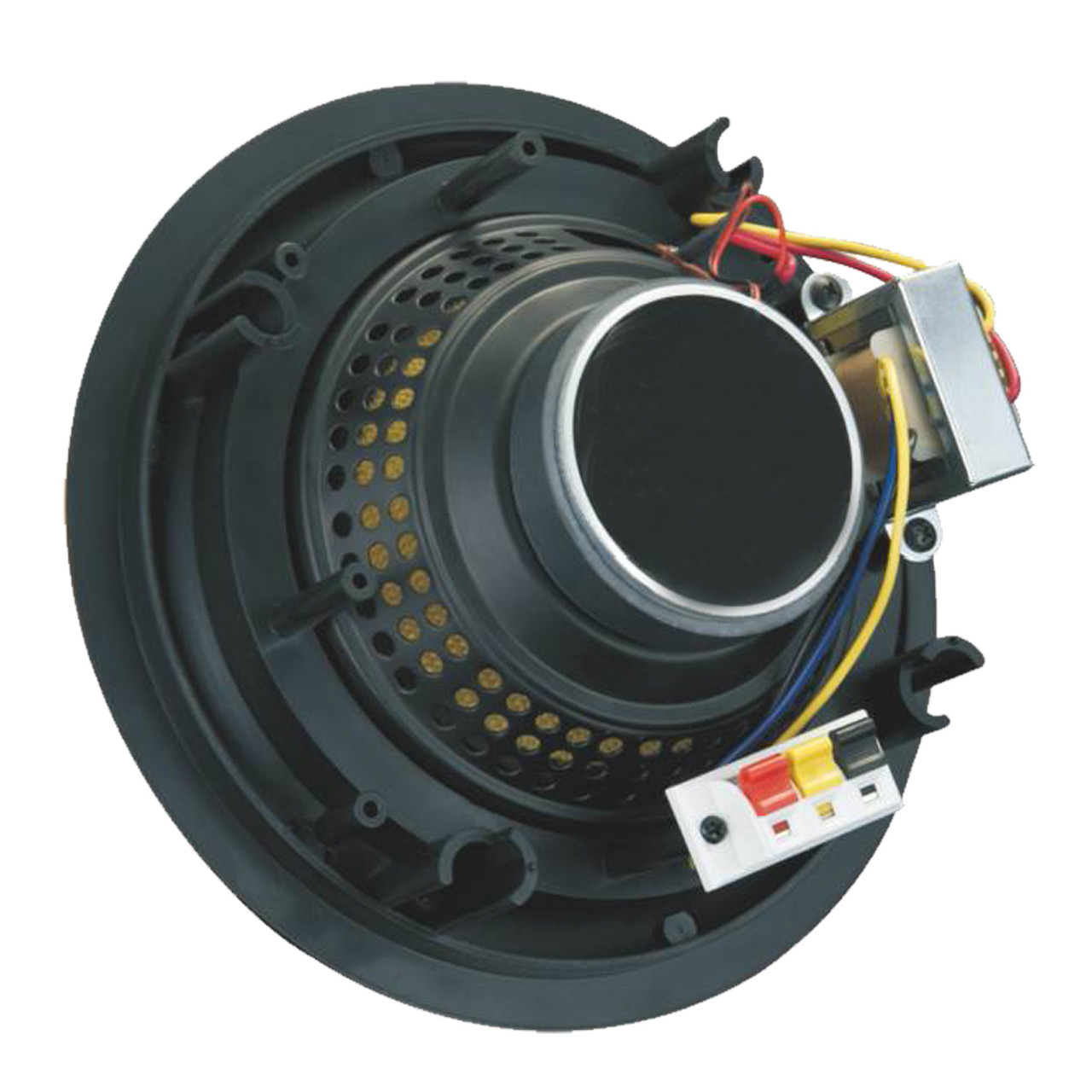 5 inch ABS Hi-Fi Cinema Ceiling Speaker (B29)