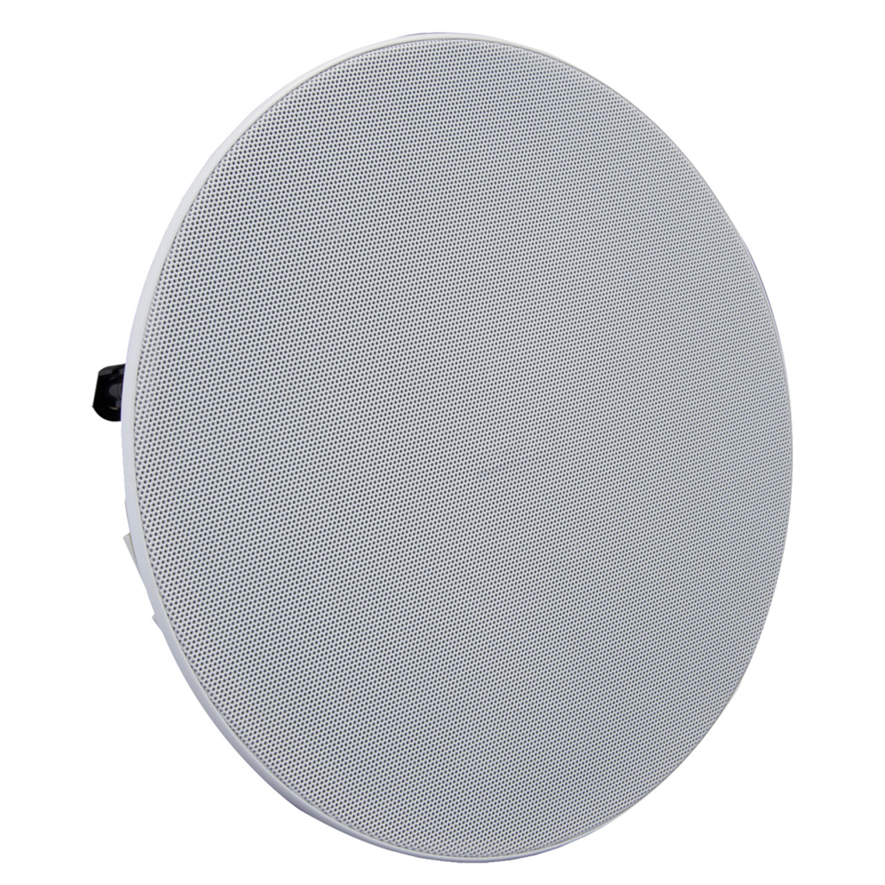 8 inch ABS Ceiling Speaker (B36)