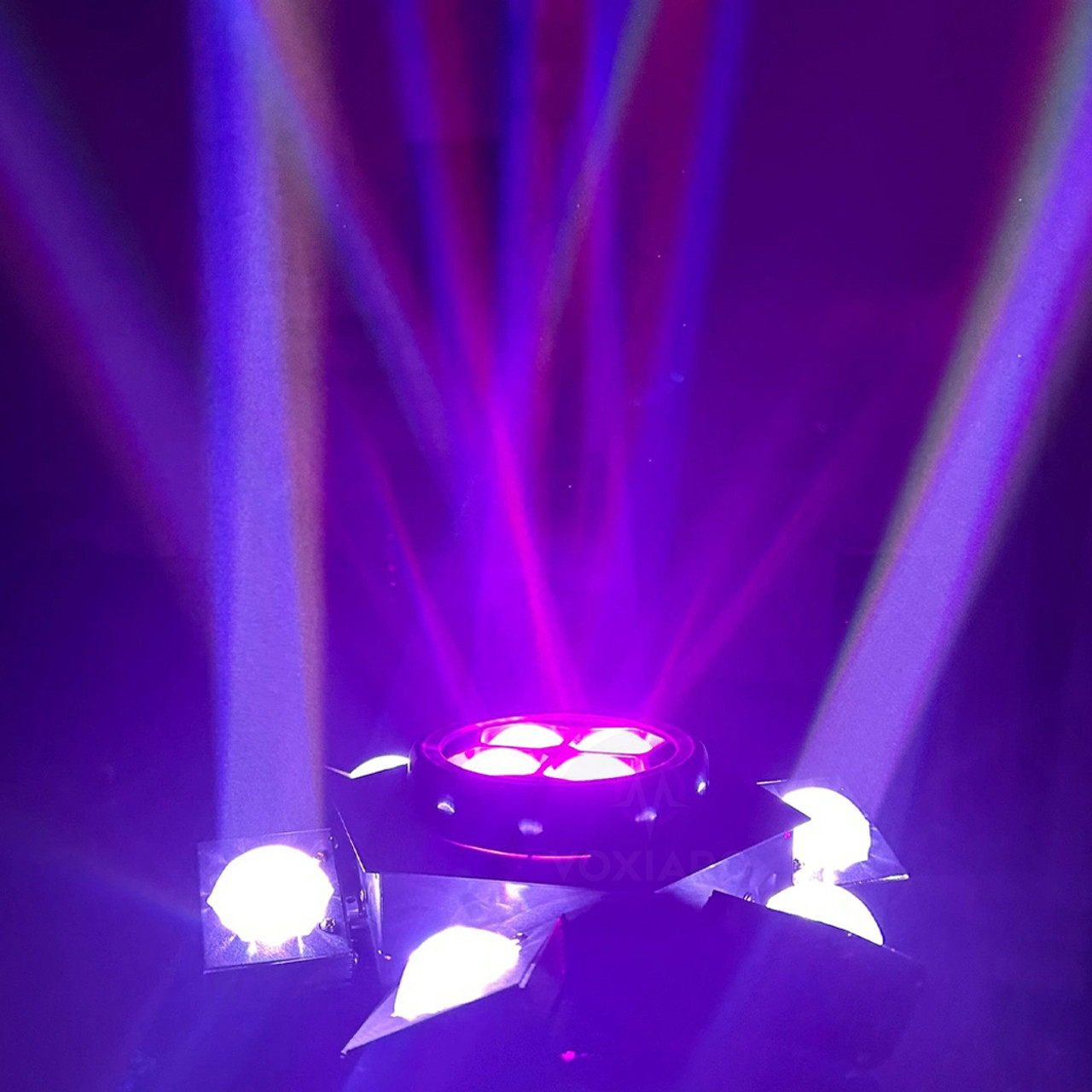 Six-arm Bee Eye Laser Light