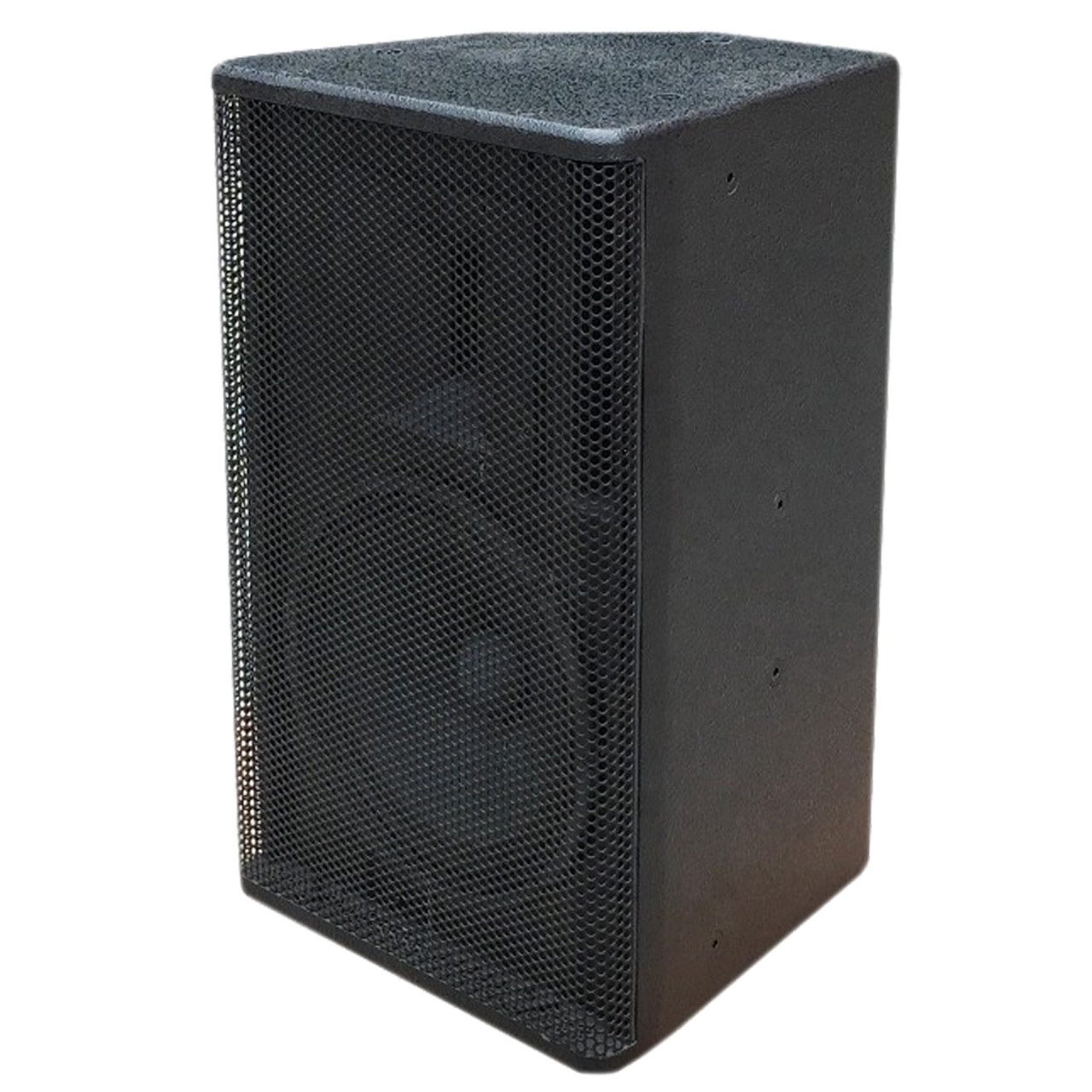 10 inch Multipurpose Two-Way Full Range Speaker