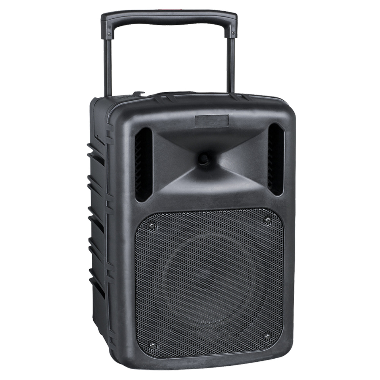 8 inch Portable PA Speaker (B05)