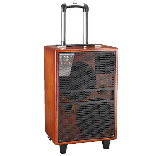 Wooden Box Dual 8 inch Portable PA Speaker (A07)