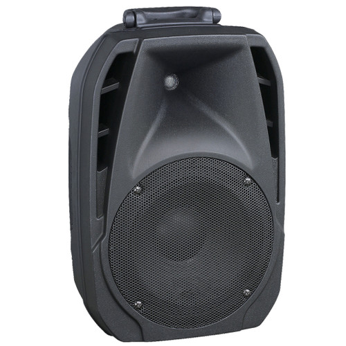 10 inch Portable PA Speaker (B12)