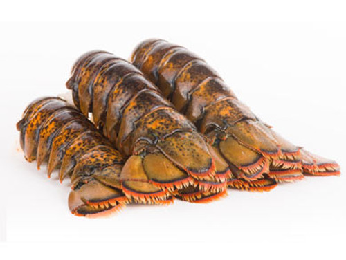 Maine Lobster Tails (4 to 5 oz)