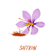 The Saffron Story: Behind the Scenes