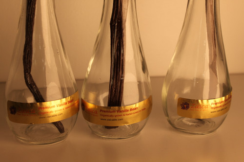 Three Zaica vanilla beans in individual bottles