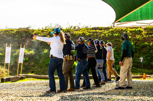 CA CCW Renewal Hybrid Training  Course PART TWO