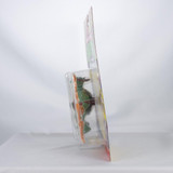 Playmates Toys Teenage Mutant Ninja Turtles Classic Raphael with Storage Shell 4" Action Figure 