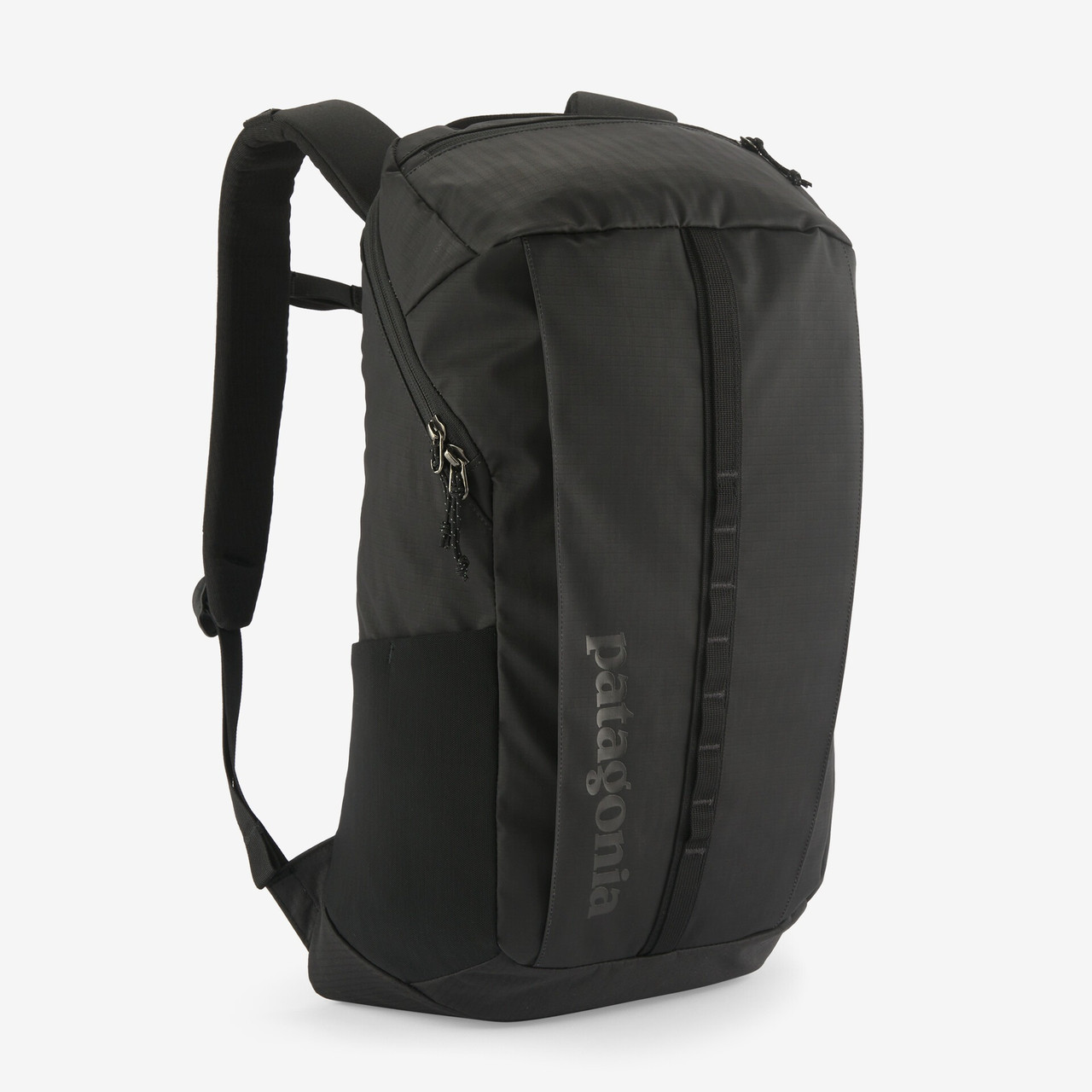 Patagonia Black Hole 25L Backpack | TYLER'S