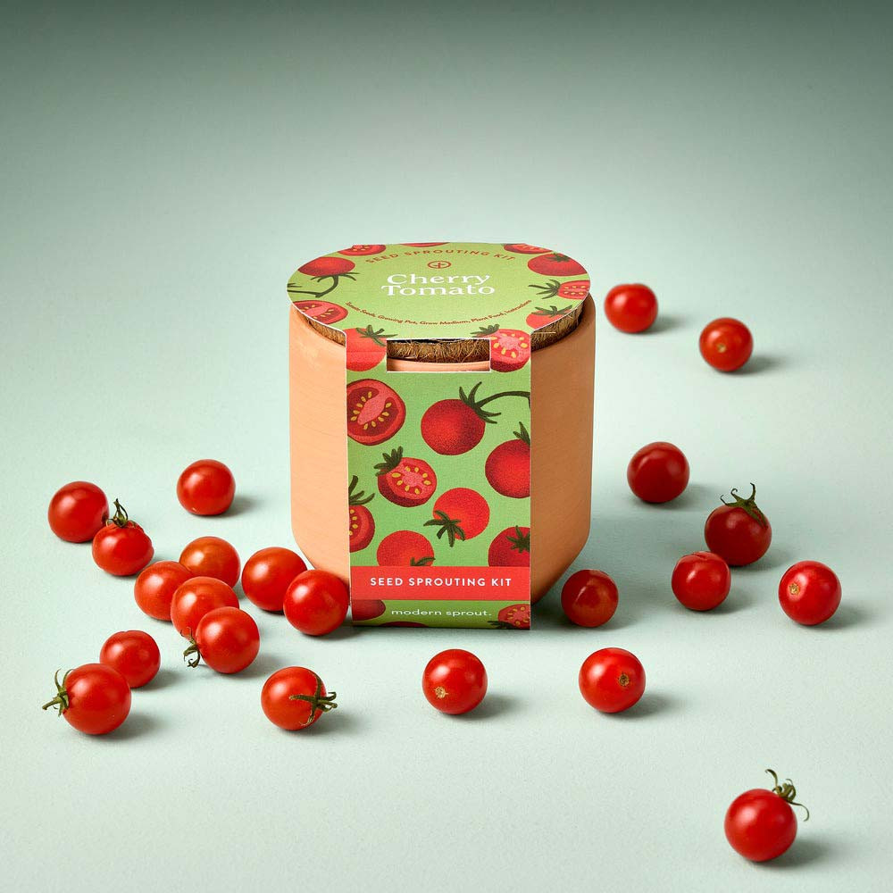 Modern Sprout Cherry Tomato Garden Kit | TYLER'S