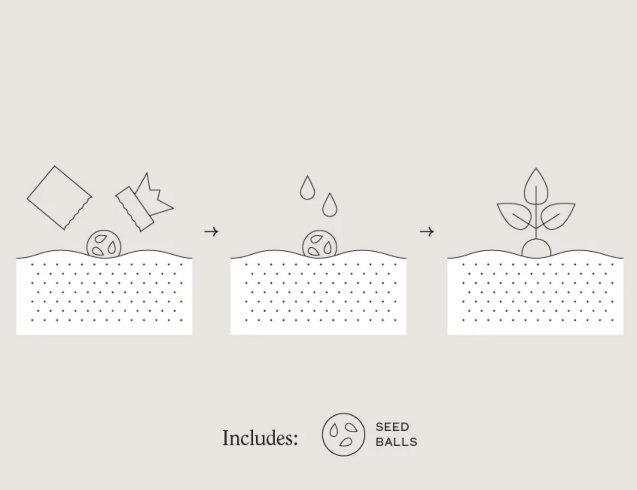 Modern Sprout Magical Wildflower Seed Bomb Plops | TYLER'S