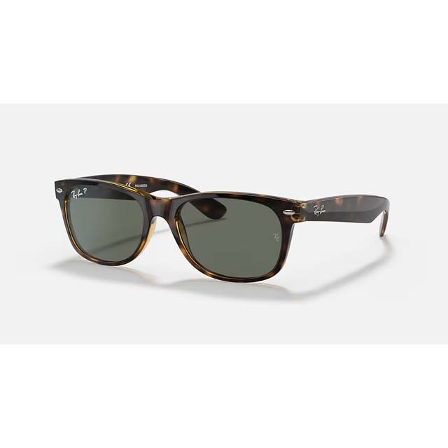 NEW_WAYFARER_TORTOISE-