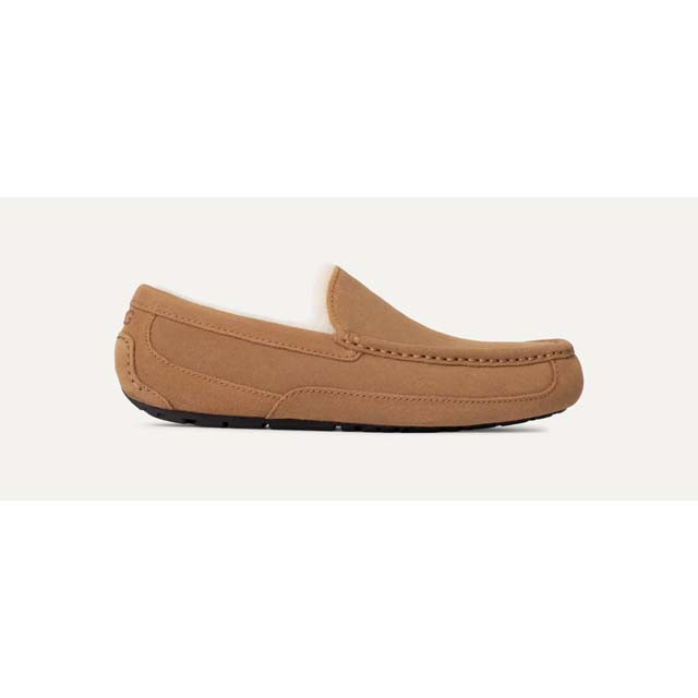 ugg moccasins tobacco Ugg Men's Ascot Slippers
