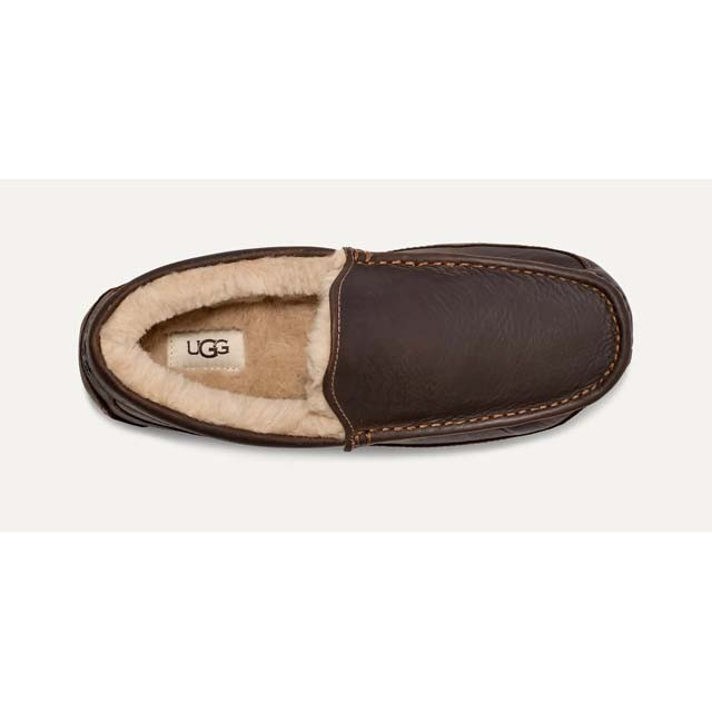 Ugg Men's Ascot Slippers | TYLER'S