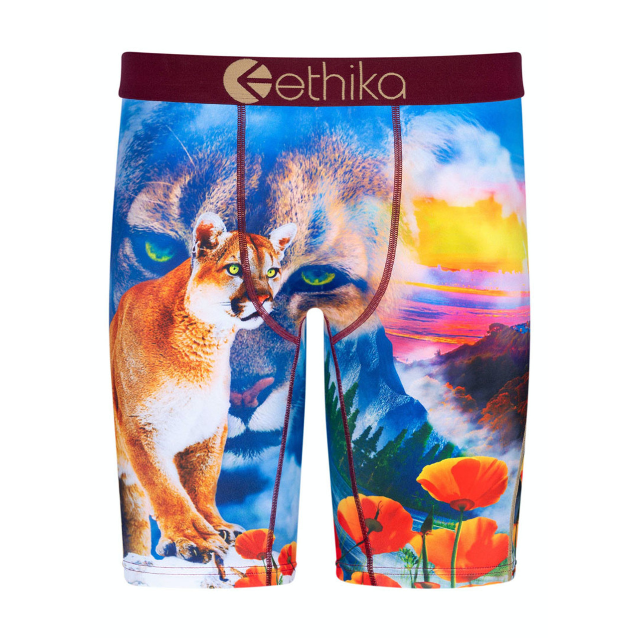 brand new ethika underwear size small