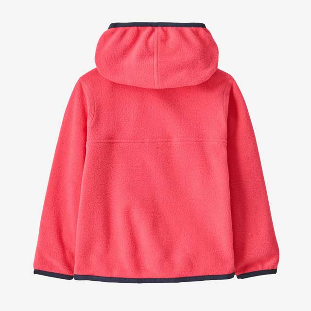 Patagonia Toddlers' Micro D Snap-T Fleece | TYLER'S