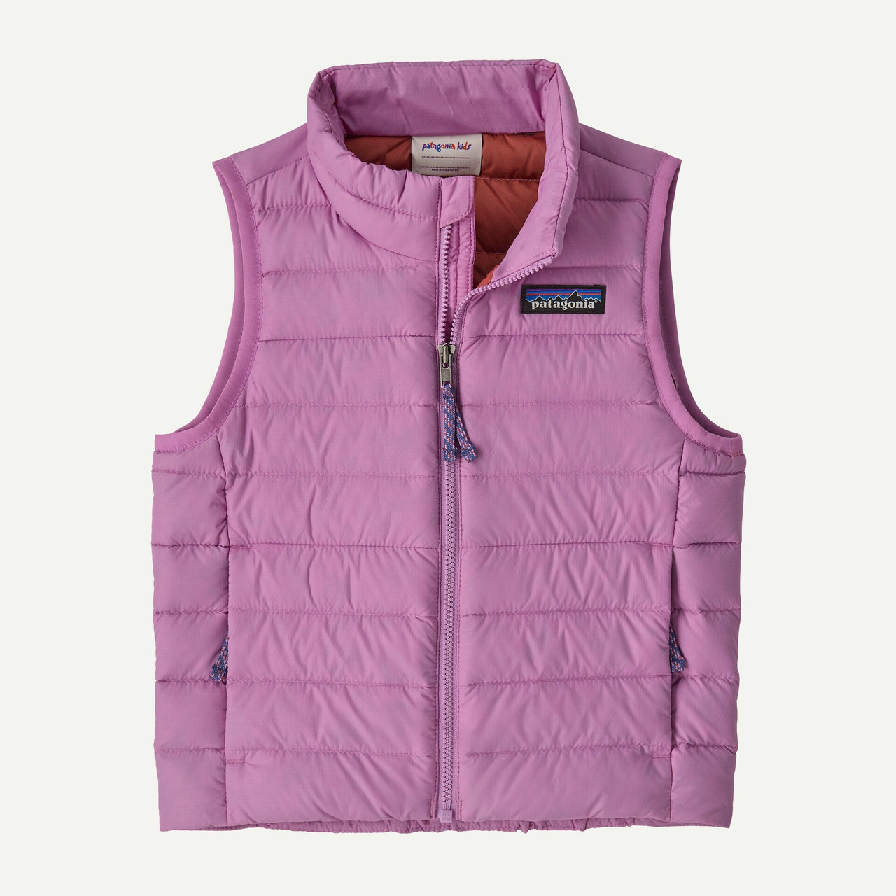 Patagonia Toddlers' Down Sweater Vest TYLER'S