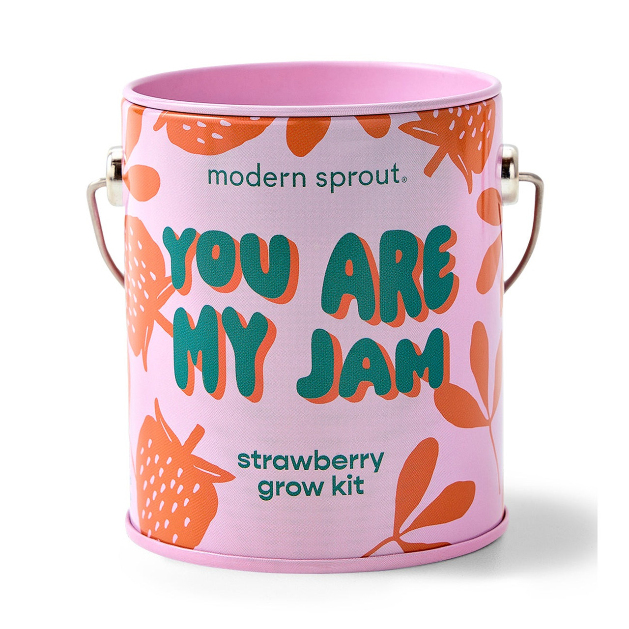Modern Sprout Complimentary Colors Grow Kits TYLER'S