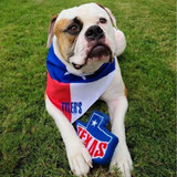 Pridebites X TYLER'S Vintage Texas Dog Toy