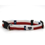Pridebites X TYLER'S small dog collar in adjustable 11-16 inch size