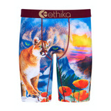 Ethika Men's Hella Boxer Briefs